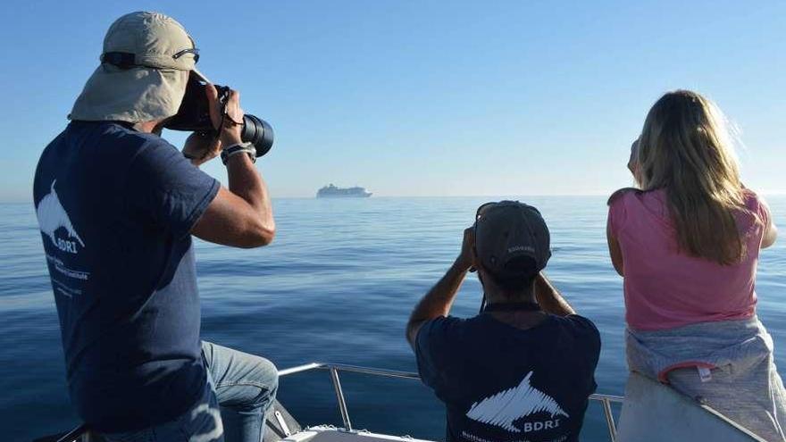 Bruno Díaz y otros integrantes de su equipo durante una jornada de seguimiento de delfines. // BDRI