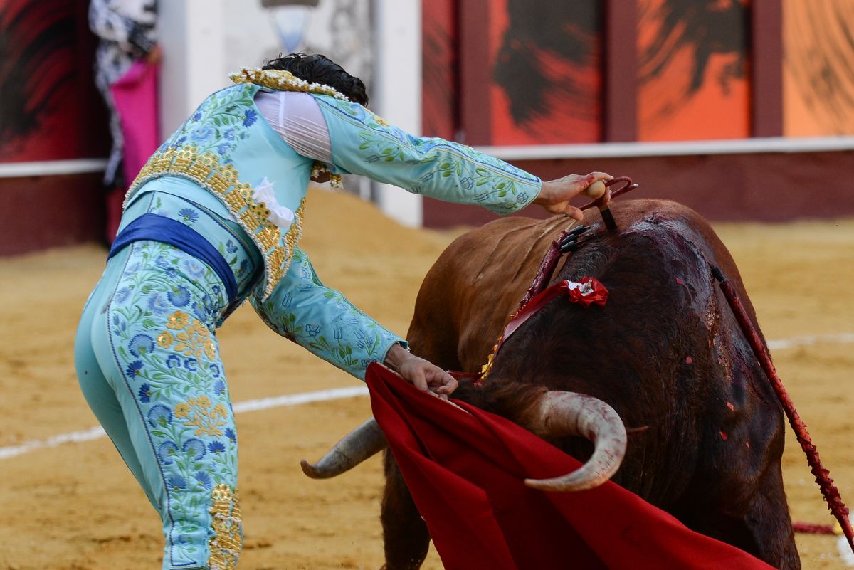 Los toros vuelven a La Malagueta