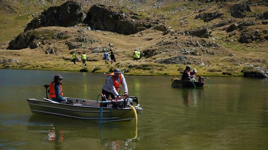 Éxito en la eliminación de los peces de los lagos pirenaicos con un producto químico: "Se demuestra que es posible restaurar el ecosistema"