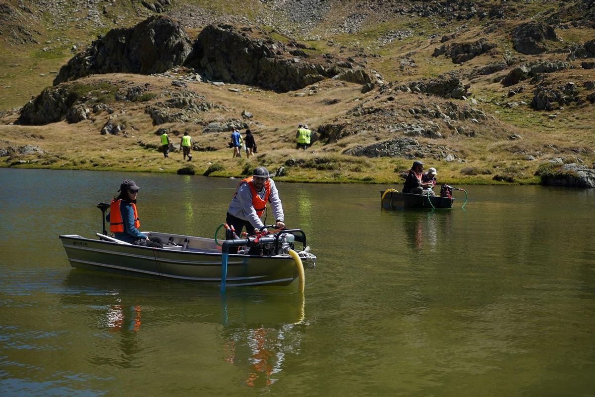 Catalunya elimina els peixos de llacs pirinencs per restaurar els ecosistemes