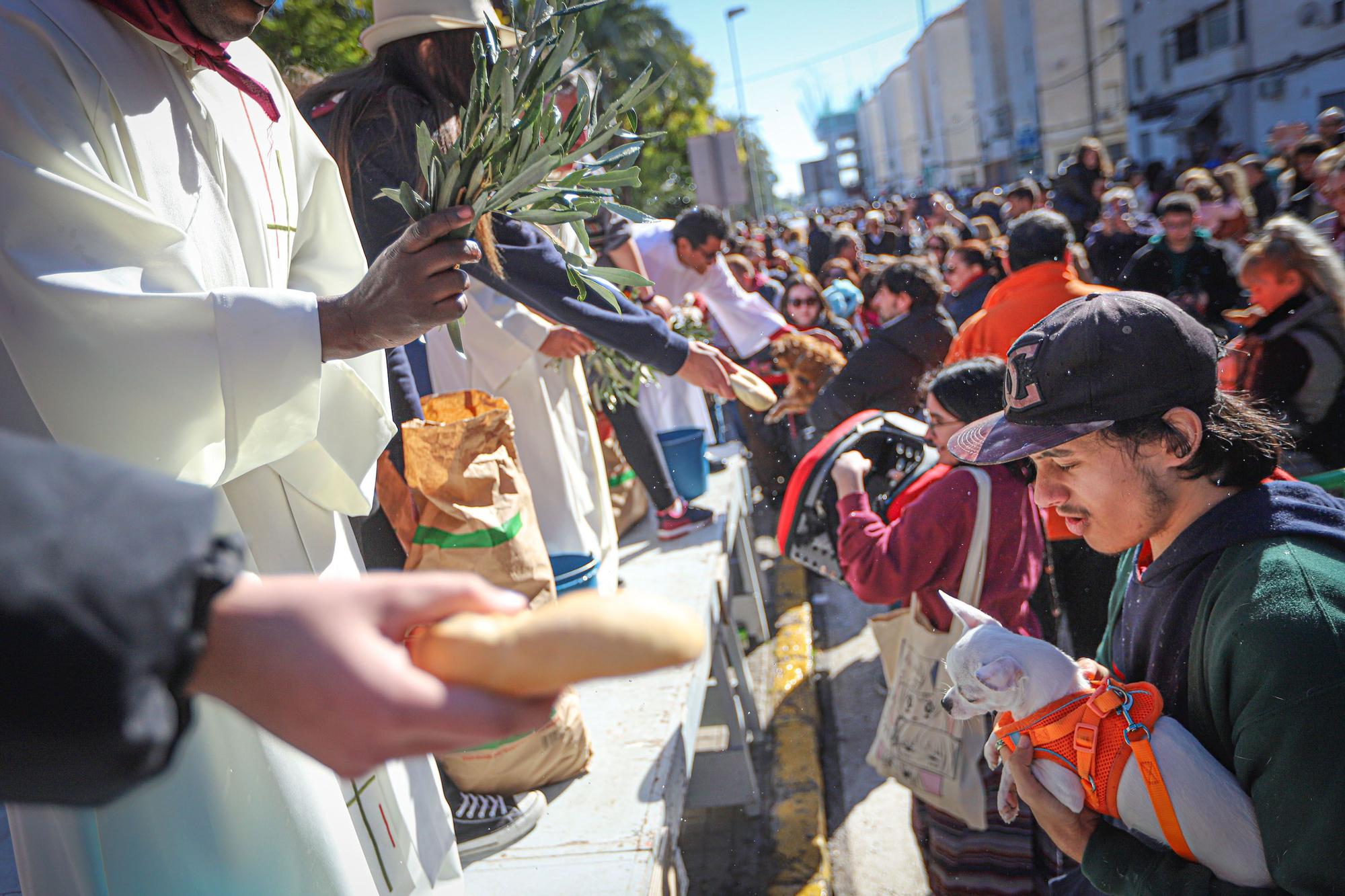 Romería y Bendición de animales en San Antón de Elche