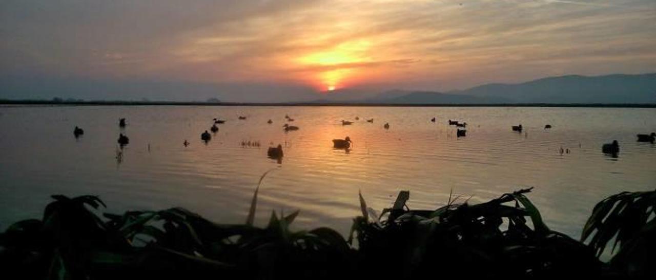 Las tiradas de aves acuáticas llegan a su ecuador sin grandes cacerías