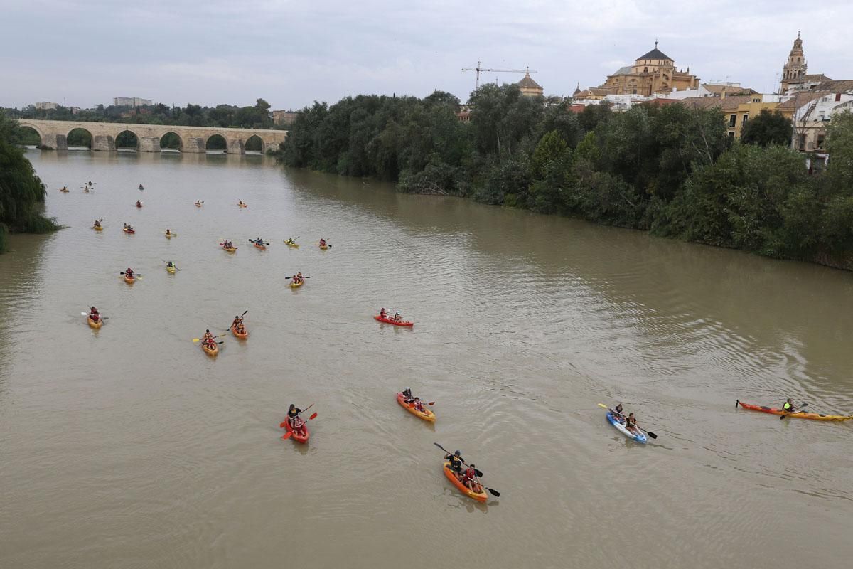 Ruta del Caimán por el río Guadalquivir