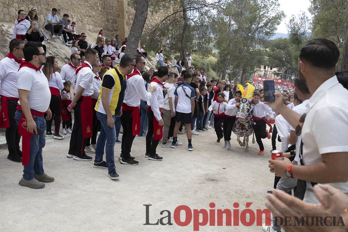 Fiestas de Caravaca | Desfile infantil del Bando de los Caballos del Vino