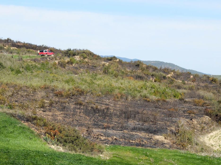 Incendi forestal a la zona cremada el 2012 de Llers