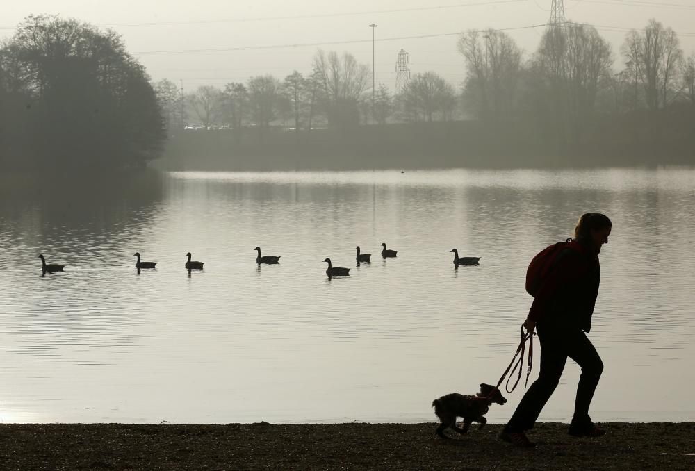 Les imatges més divertides del Crufts Dog Show