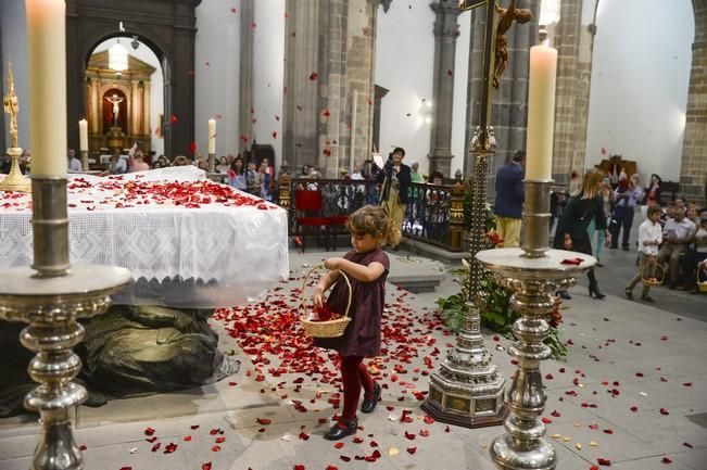 LLUVIA DE PETALOS EN LA CATEDRAL