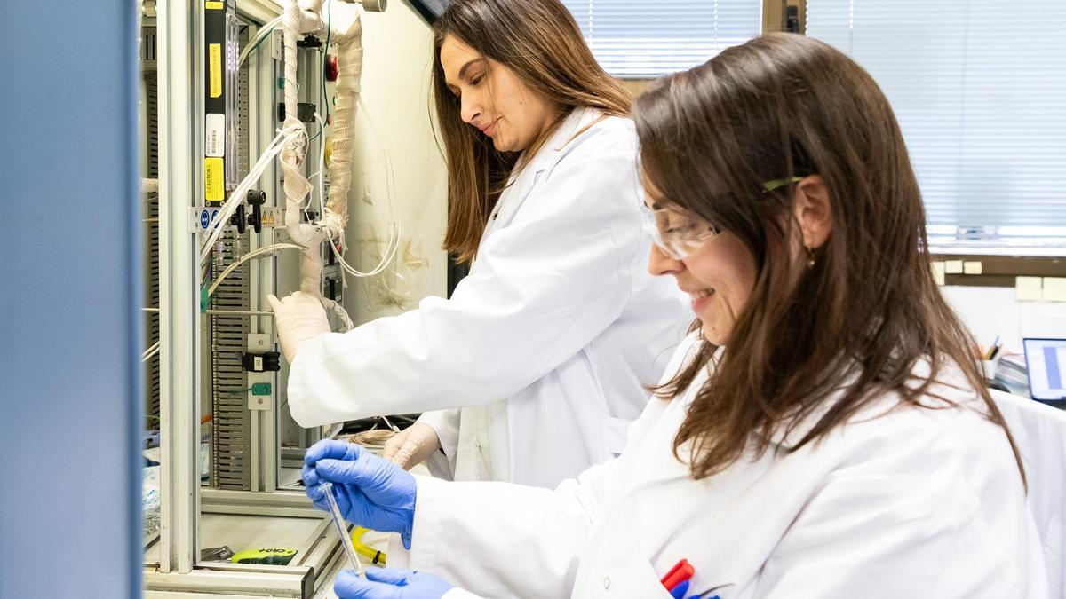 Investigadoras trabajando en el laboratorio del ITQ de València, centro mixto del CSIC y la Universitat Politècnica.