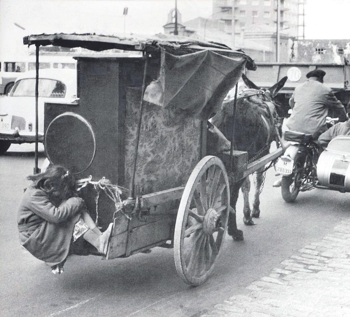 Trapero en su tartana.