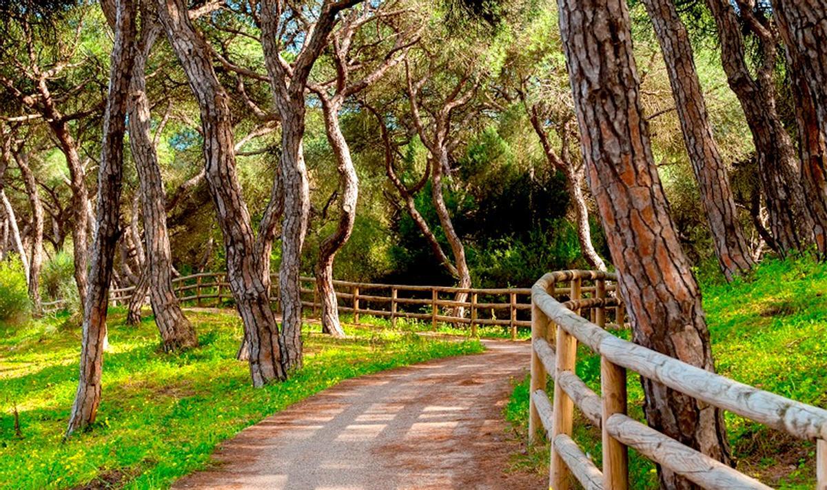 Sendero William Martin en Punta Umbría.