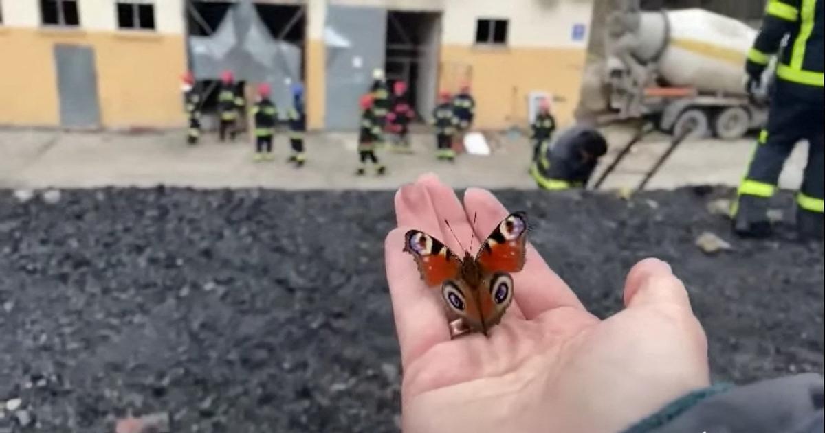 Una persona sostiene una mariposa mientras los bomberos limpian los escombros  en Pushcha-Vodytsya, Kiev.