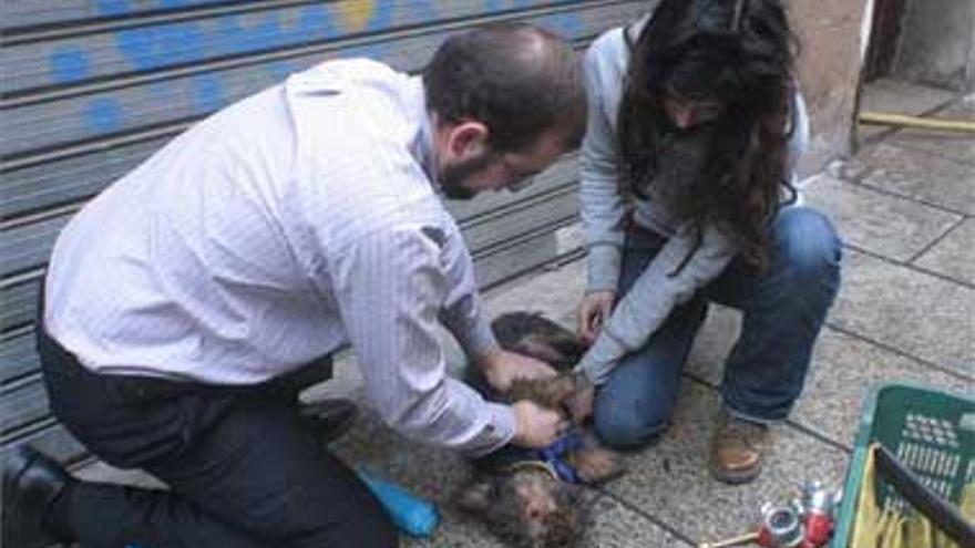 Dos ancianos sobreviven al incendio de su casa al ser rescatados por los vecinos