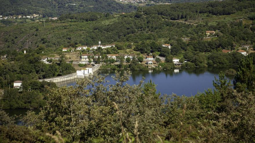 Lobeira embalse de As Conchas Rio Limia