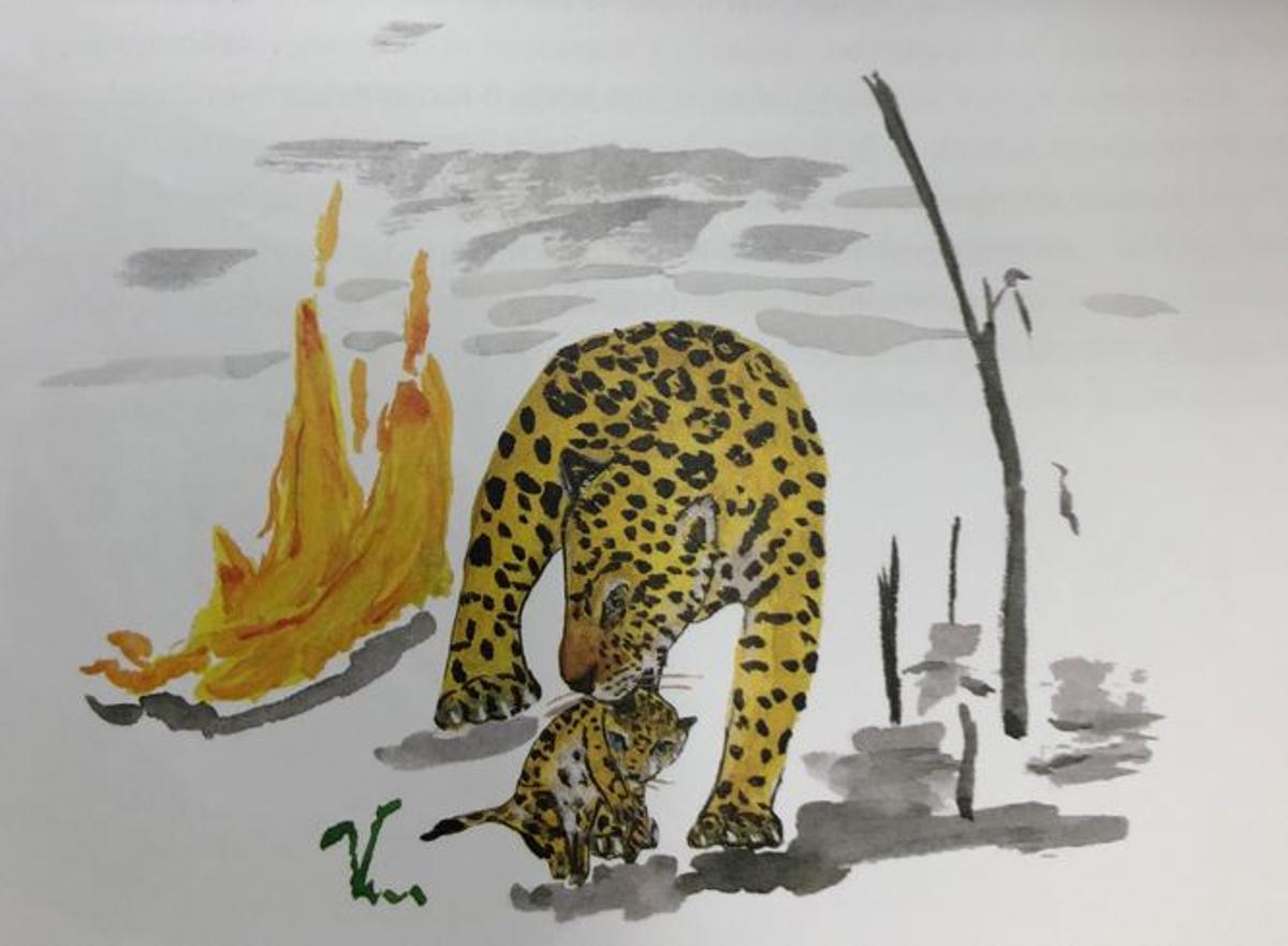 Yana Marull il·lustra el llibre amb nombrosos dibuixos de la fauna i la flora amzòniques.