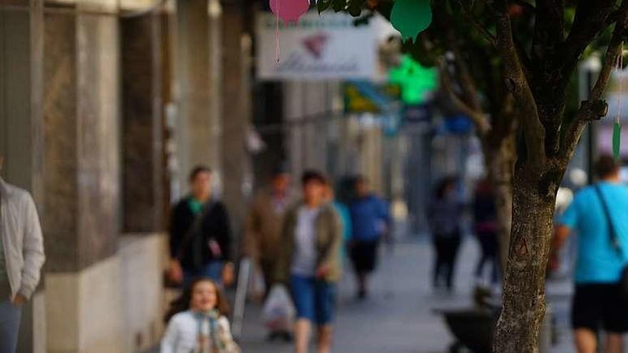 Adornos de la Algarabía en árboles del centro de Lalín. // Bernabé