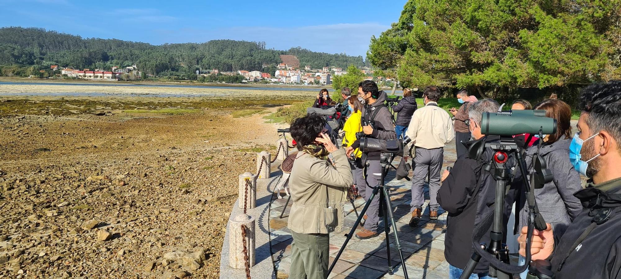 Observación de aves desde la isla de A Toxa.