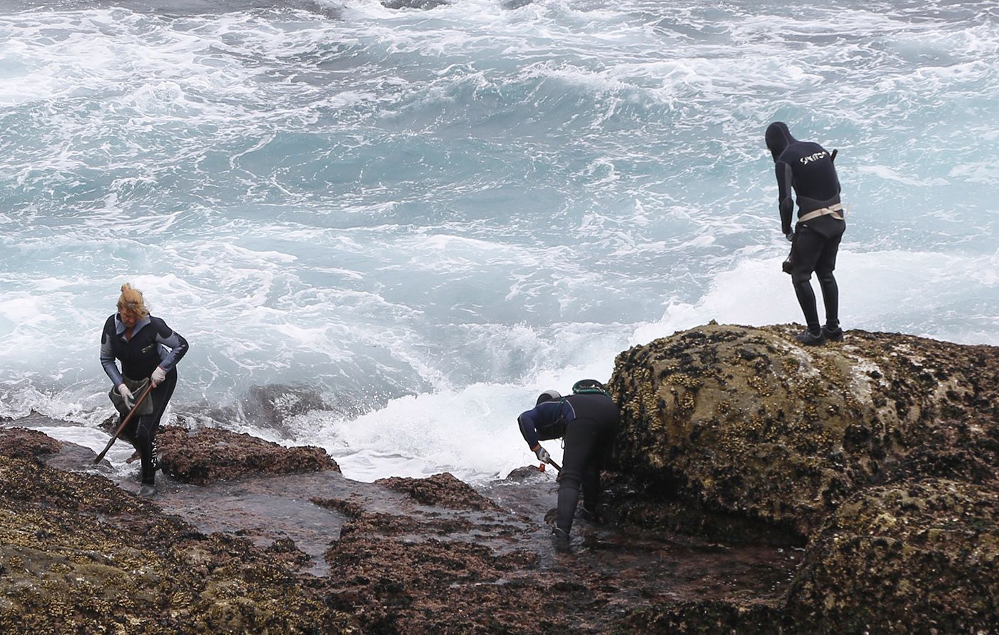 Un grupo de percebeiros trabajando en la costa de Baiona en 2019