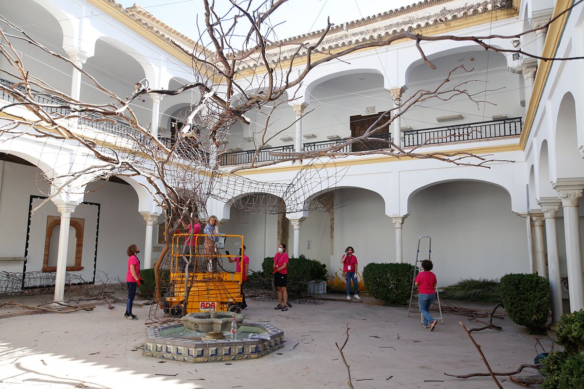 Inés Urquijo y Nuria Mora lideran los preparativos en la instalación del Museo Arqueológico