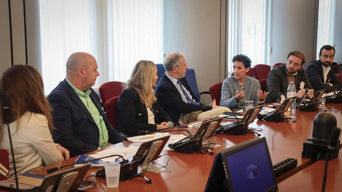 Ballester ha explicado que el sector afronta una “grave vulnerabilidad” derivada de los cambios regulatorios previstos para el período 2026–2030.