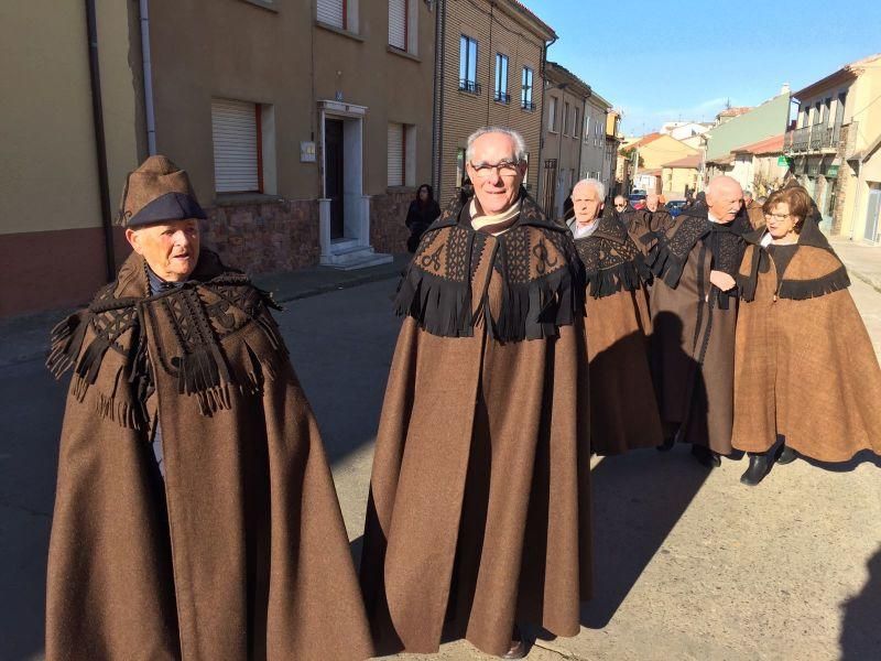 Exaltación de la capa parda en Carbajales de Alba