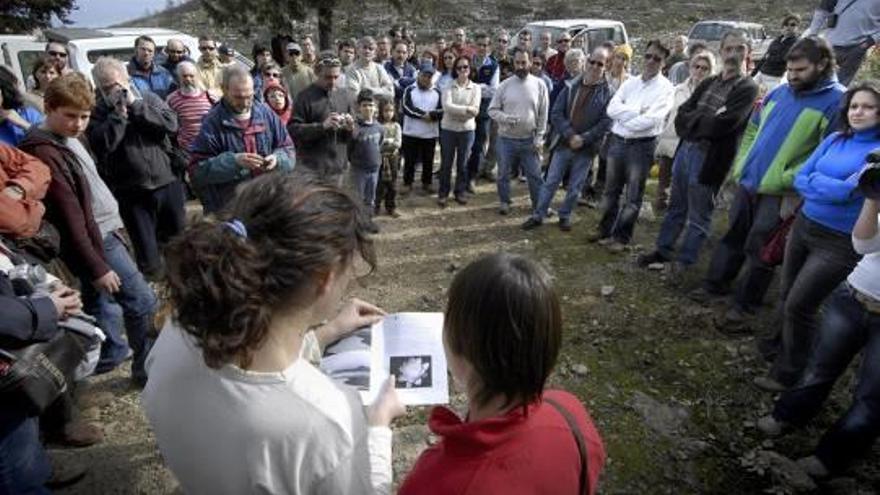 Publiquen les notes de saviesa popular que Joan Pellicer va recollir per Diània