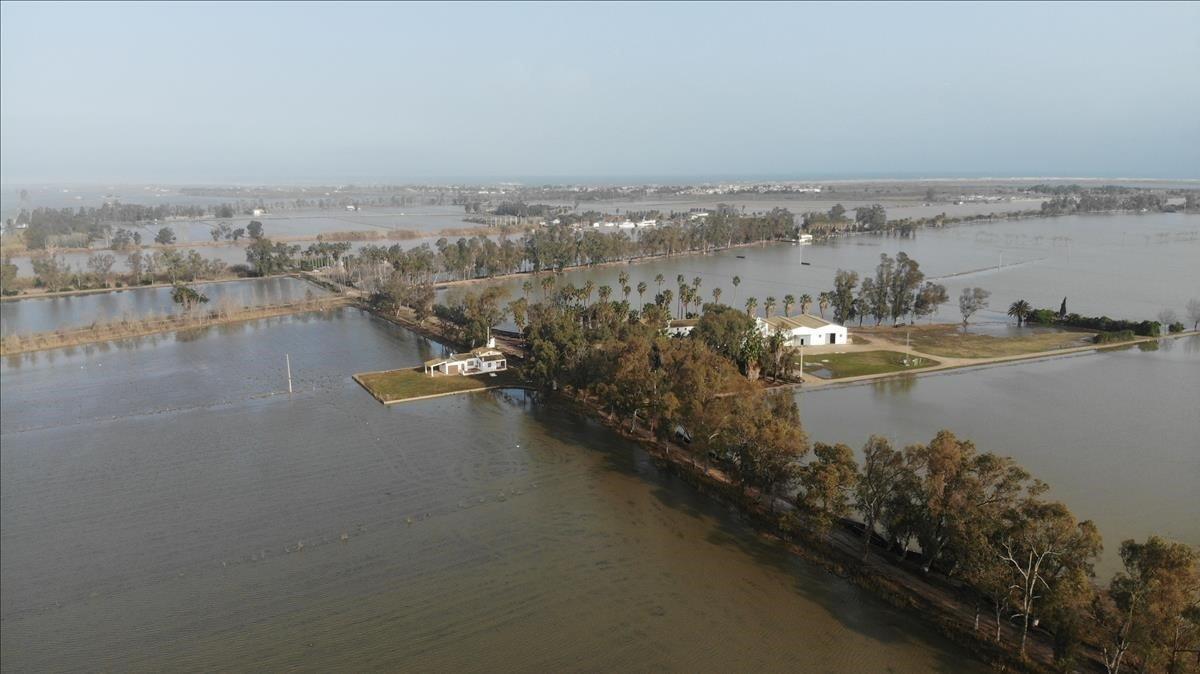 Una zona del delta del Ebro totalmente inundada tras el paso de ’Gloria’ cuando debería estar seca en estas épocas del años.