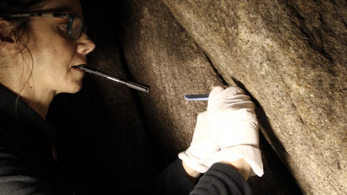 La investigadora Teresa Rivas tomando muestra de colonización biológica en un ortostato