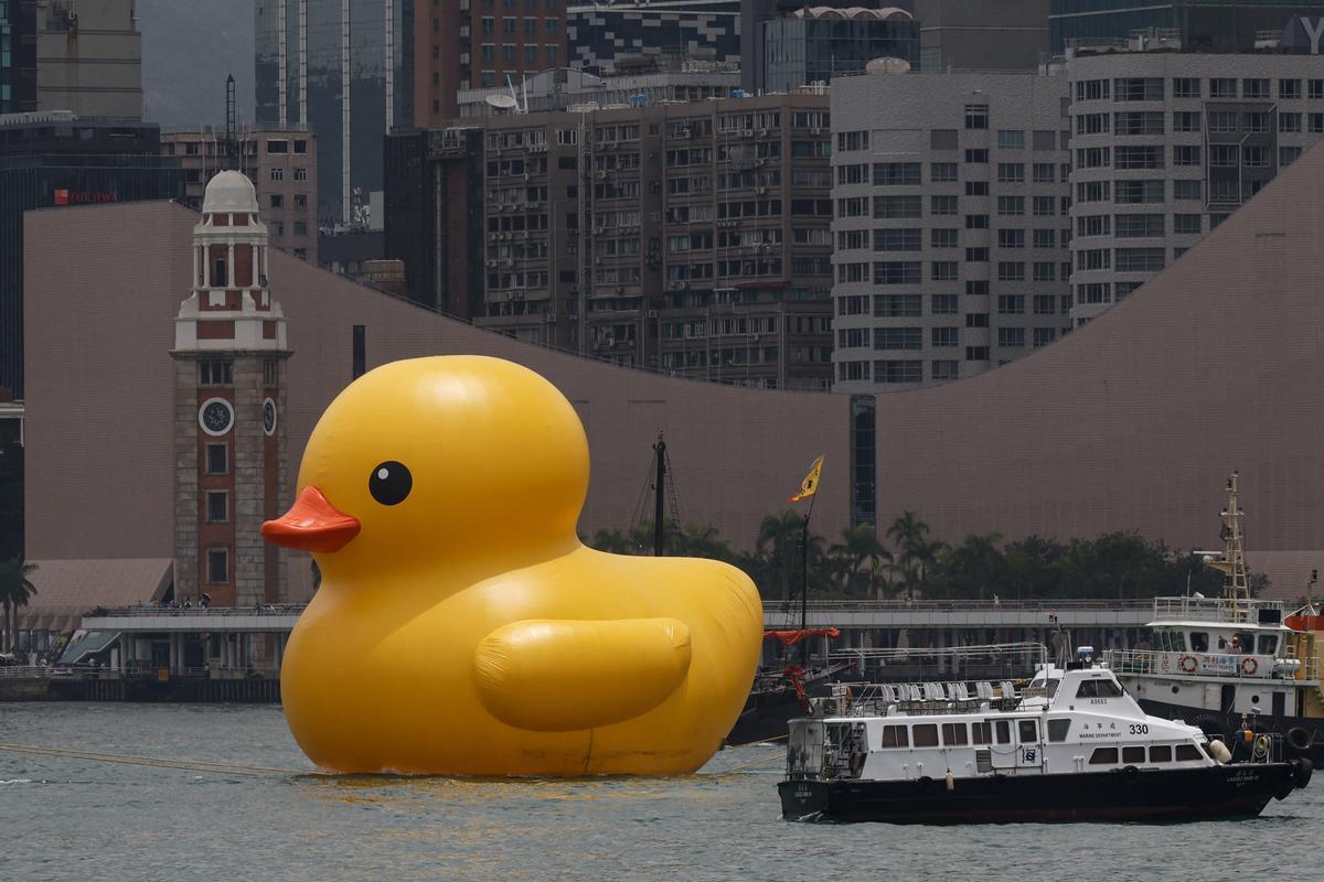 Los patos de goma del artista Florentijn Hofman, en el puerto de Hong Kong