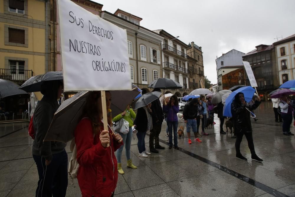 Concentración para reclamar un albergue de animales en Avilés