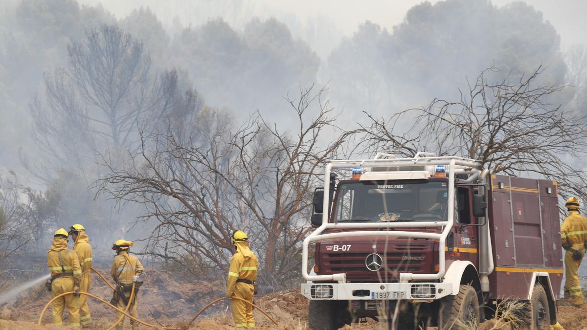 Incendio forestal en Ateca.