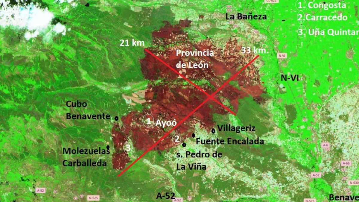 Hasta cuatro mil hectáreas por hora: la oleada de los incendios veloces en Zamora