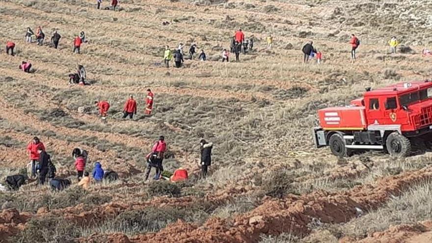 Los vecinos plantan más de mil árboles