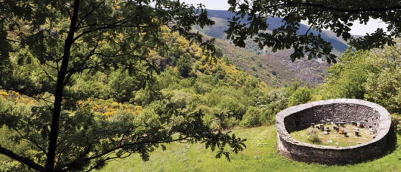 Ancares - Courel  |  Conforman la mayor reserva verde de Galicia. Hay infinidad de rutas que atraviesan valles y montañas entre castaños, robles, hayas, abedules y encinas.