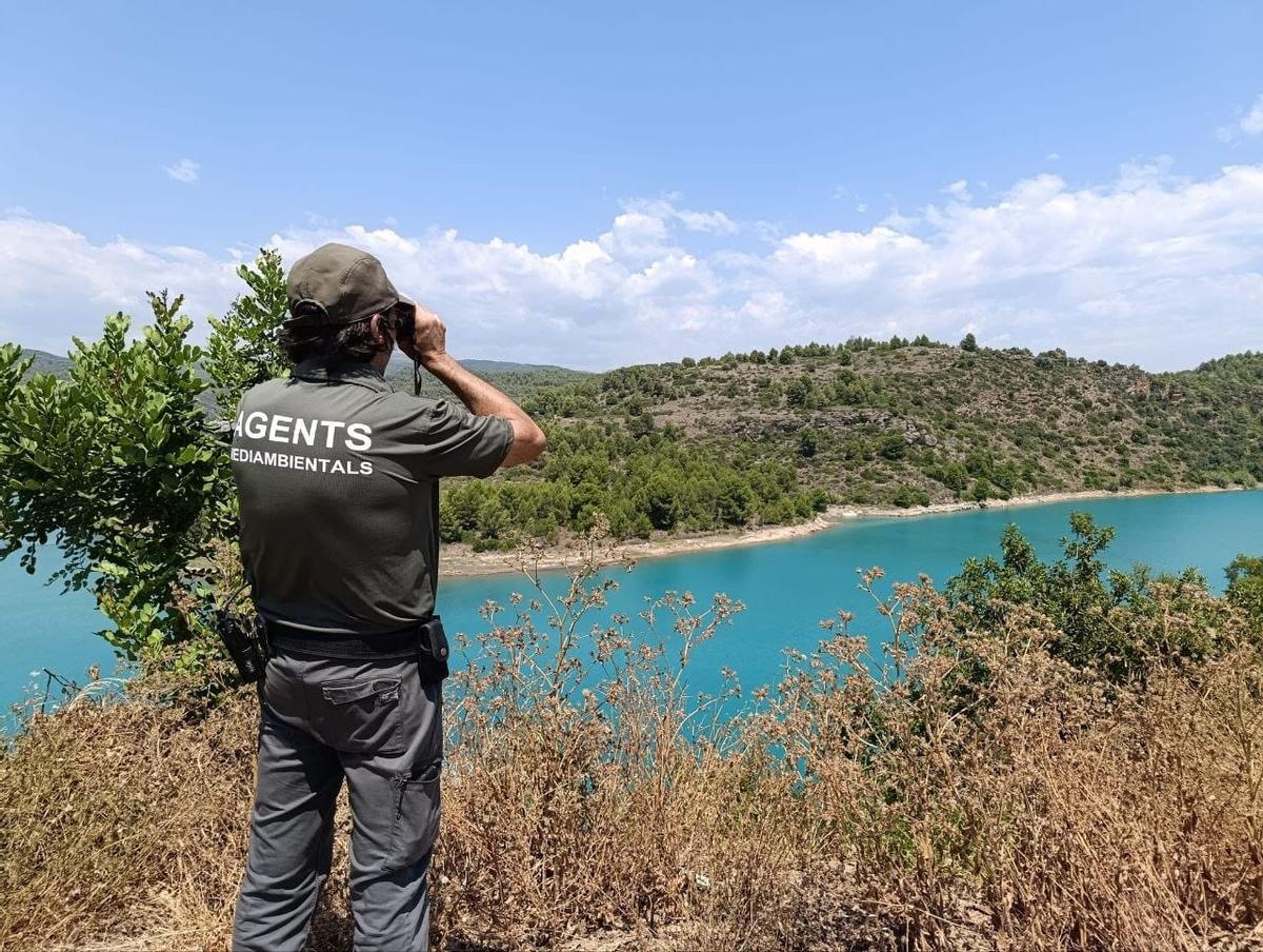 Un agente medioambiental de la Generalitat durante una jornada de vigilancia en un parque natural de Castellón.