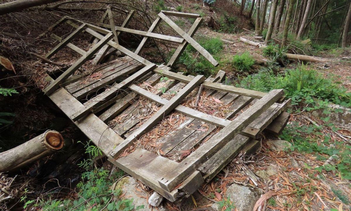 Un colectivo ecologista denuncia destrozos en el área de Castiñeiras