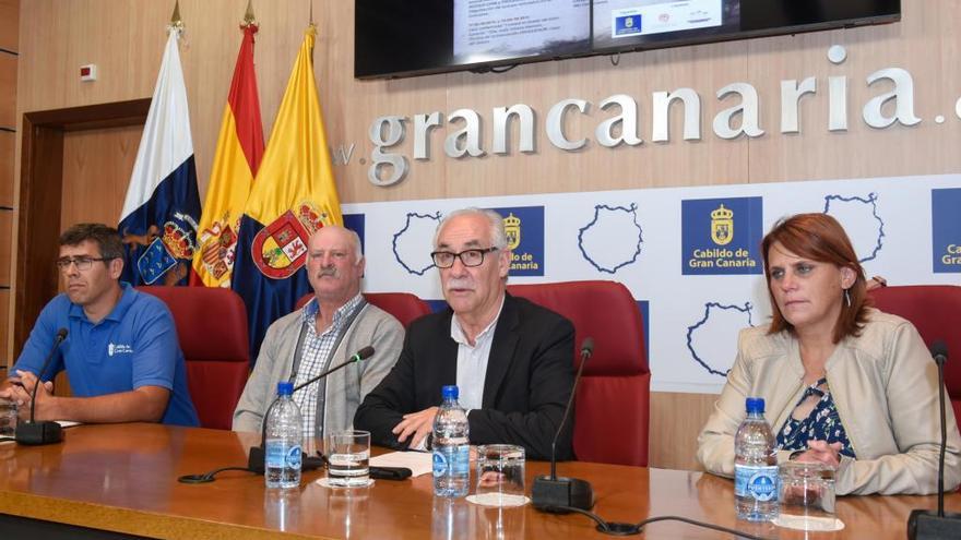 Una treintena de queserías de Gran Canaria compiten en el concurso oficial del Cabildo