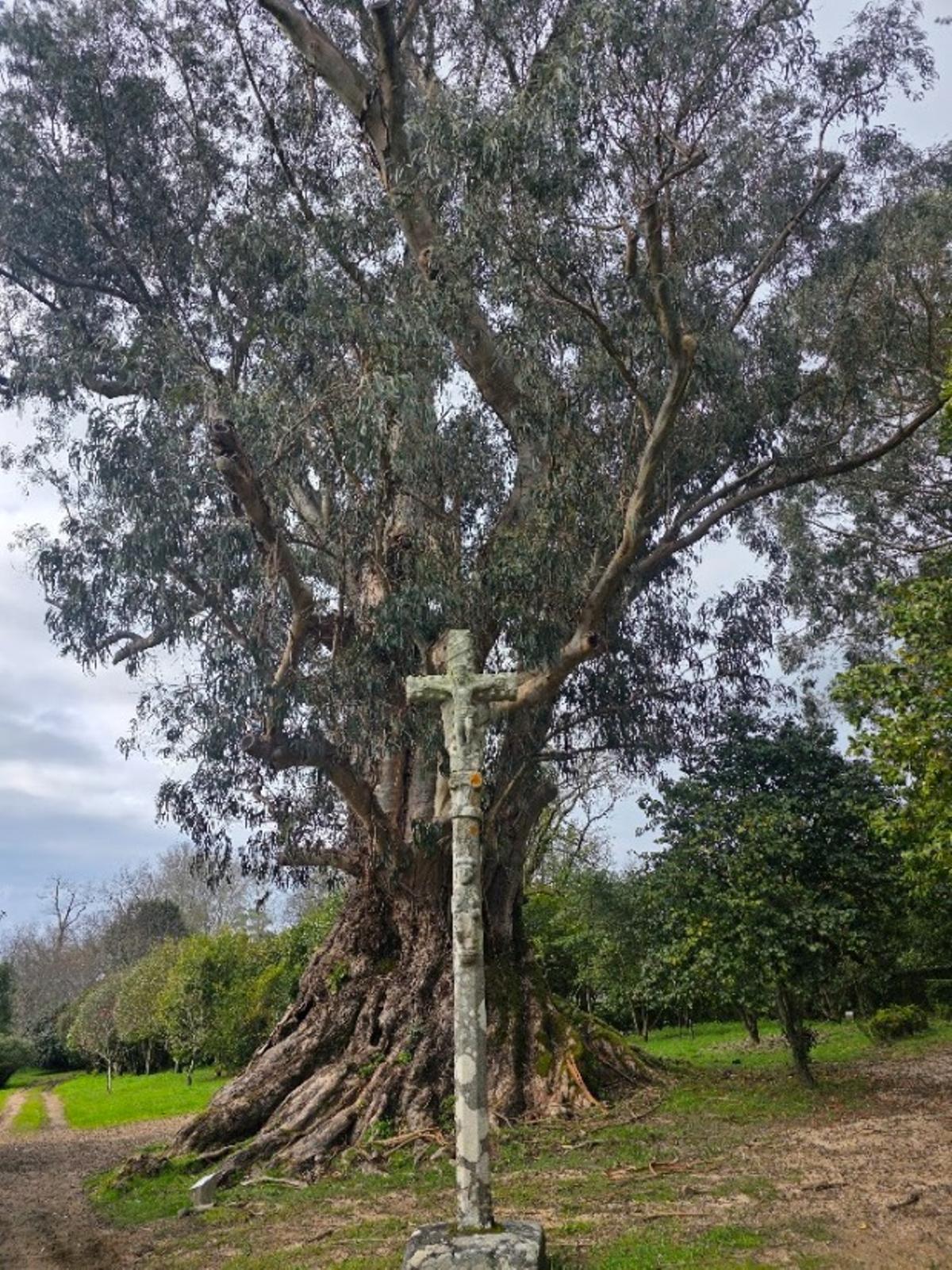 Pazo Rubiáns, en Vilagarcía, sede de la bodega Pazo de Rubianes, desde octubre propiedad de Bodegas Arzuaga.