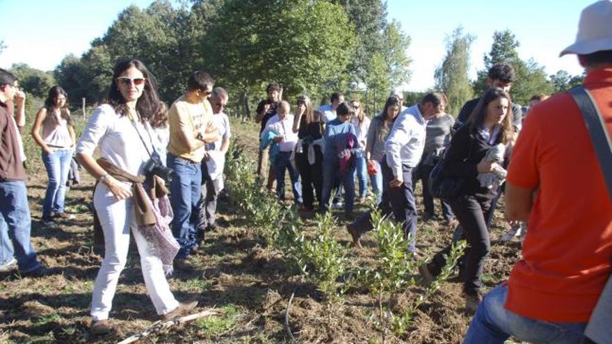 Los participantes escuchan una de las charlas celebradas ayer en la Casa del Parque.