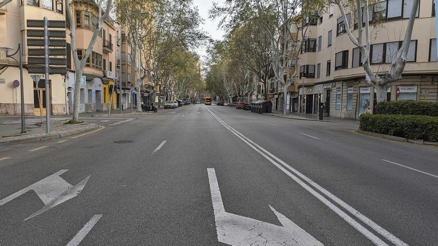 El último mono en la ciudad