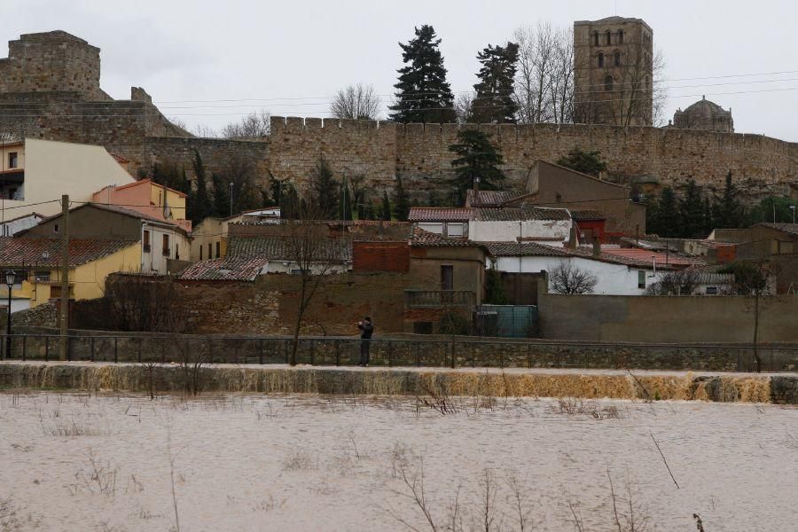 Inundaciones de enero 2016 en Zamora