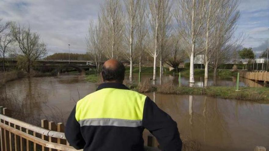 Estado que presentaba el viernes por la mañana la inundación del Órbigo en el puente de piedra de Benavente.