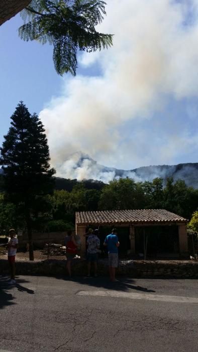 Incendio forestal en Puigpunyent