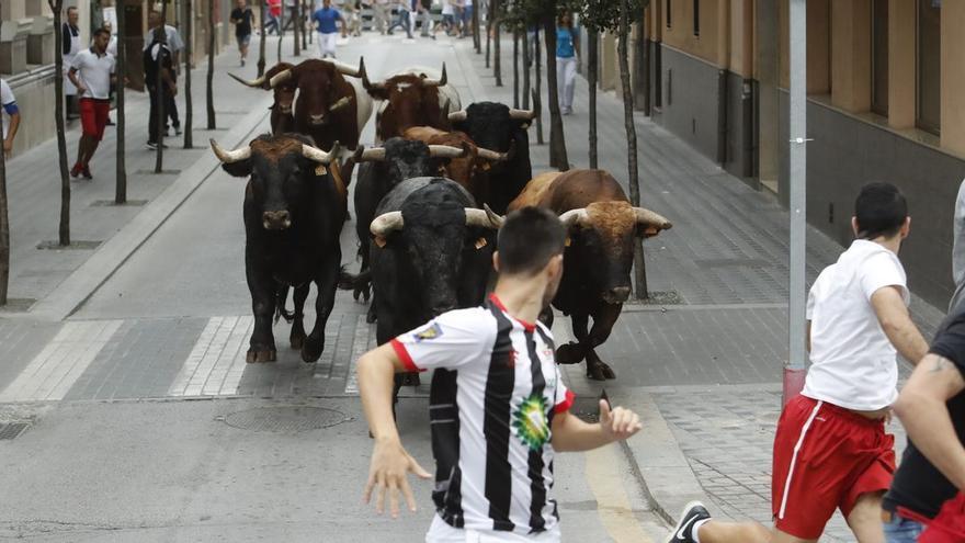 Imagen de un encierro taurino de Almassora antes de la pandemia por el covid