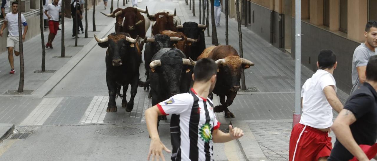 Imagen de un encierro taurino de Almassora antes de la pandemia por el covid