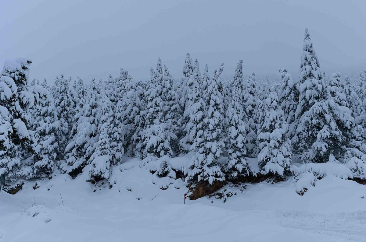 La neu ha emblanquinat el paisatge de l'antiga estació d'esquí