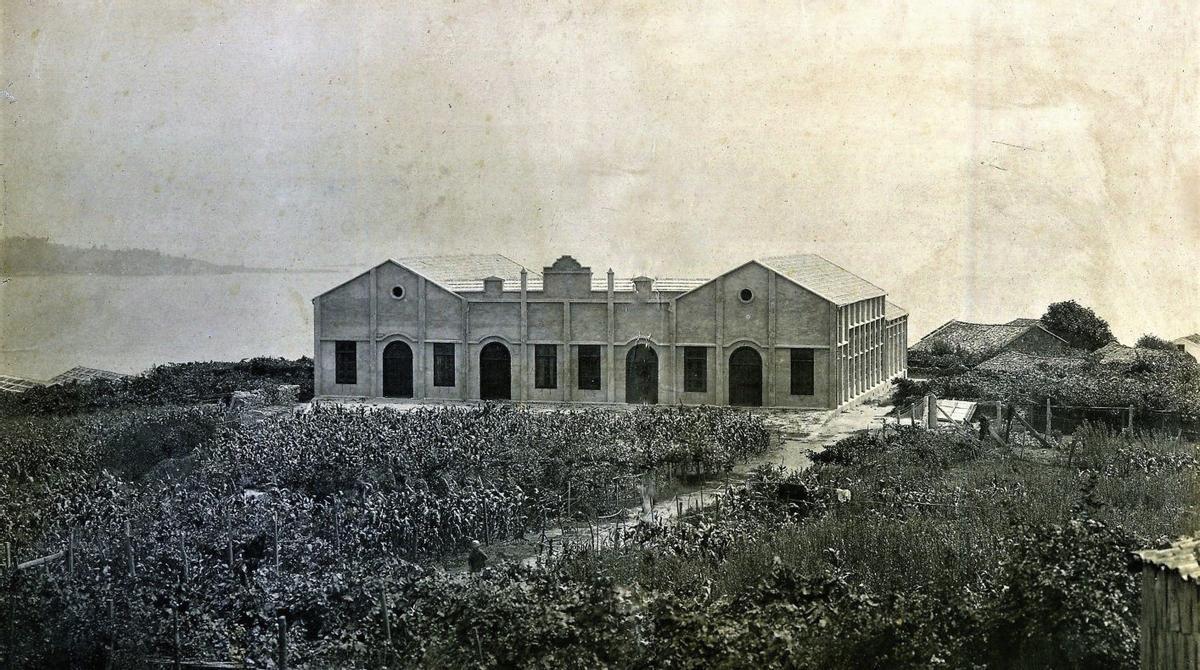 Grupo Escolar de Quintela en 1913. Foto cedida polo Arquivo Pacheco de Vigo. | AC NÓS