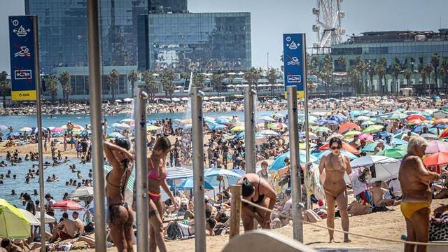 Banyistes a la platja de la Barceloneta, aquest juny.