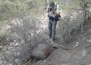 Crimen en la berrea de La Carrasqueta