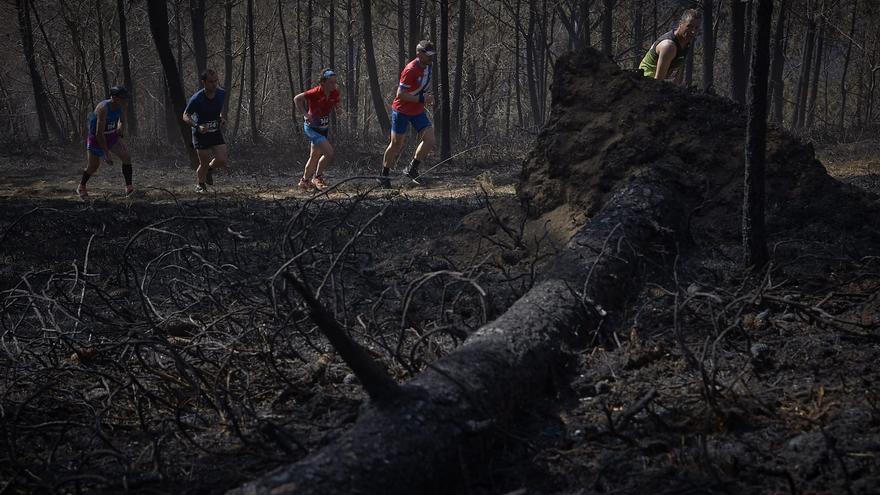 Setienes y La Granda logran que se reforeste una parte de las zonas quemadas en los incendios de marzo