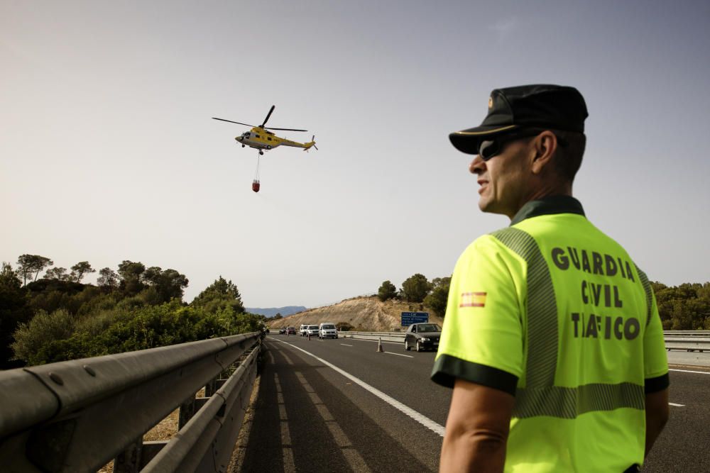 Alarma por un incendio forestal junto a la autopista de Llucmajor